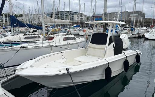 Boston Whaler Boston Whaler 250 Dauntless Présentation du Boston Whaler 250 Dauntless